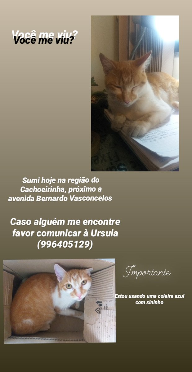 urla tweet media