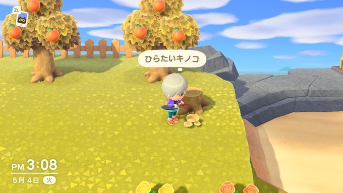 あつ森 きのこの入手時期と増やし方 あつまれどうぶつの森攻略wiki 神ゲー攻略