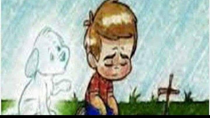 Mxivega's tweet photo. Perder una mascota duele más de lo que la gente piensa https://t.co/kmTuNTLeOu