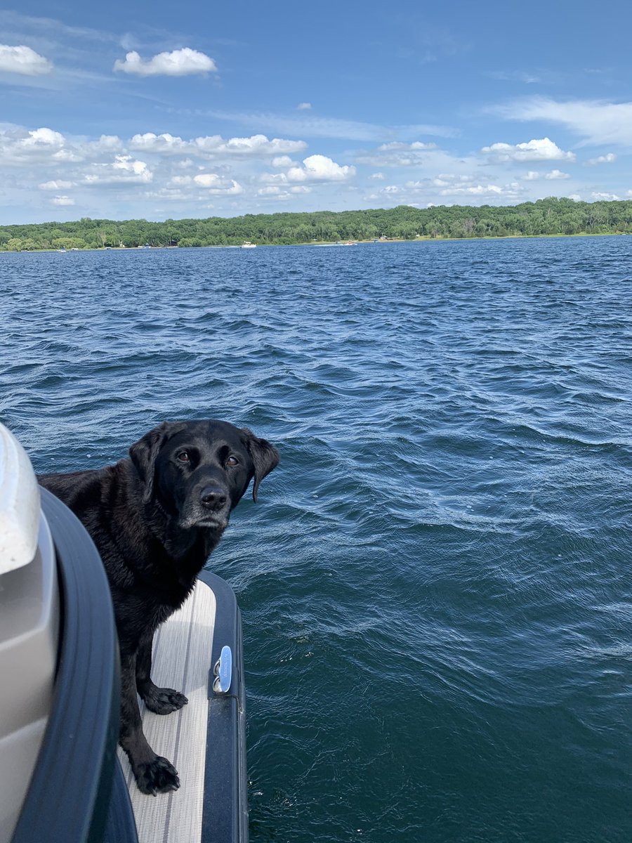 Dog days of Summer! 
#HeyThatsMyName
#LakeLife