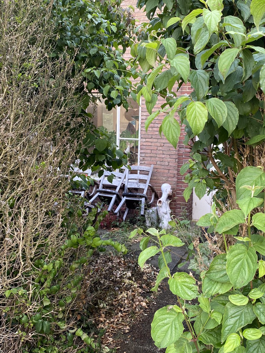 marktollenaar's tweet photo. Gem.A’veen en unibail. laten jullie de schilderswijk verloederen?? 8 jaar lang geen onderhoud in onze wijk!komen jullie snel langs? @Amstelveenz @Gem_Amstelveen @urw_group @HerbertRaat @VVDAmstelveen @ErikHVNL @Politie_Avee https://t.co/BlCMjXRgy8