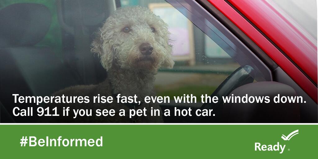 Call 9-1-1 if you see a pet locked in a car during extreme weather. If it's too hot for you, it's too hot for them. #PetPreparedness #wepoweron #publicpower #communitypowered #westerville