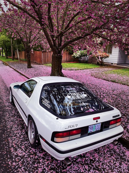 Driver vs car https://t.co/PMWCjLhe4E