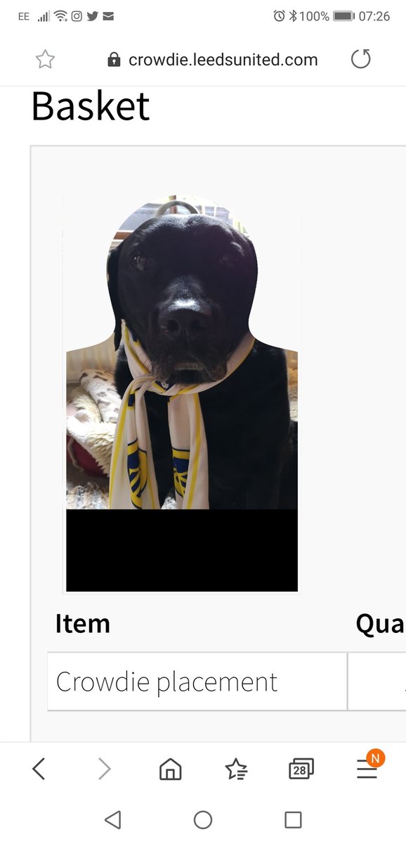 reckoner29's tweet image. @Harrison_Jack11 just wanted to thank you for showing us where our boy is, he's there to bring you lads luck! We lost him 13 weeks ago &amp;amp; this made our day 😇💝 so happy he's behind the goal in the kop 😂
and STUNNING team goal 🔥🔥🔥 @LUFC