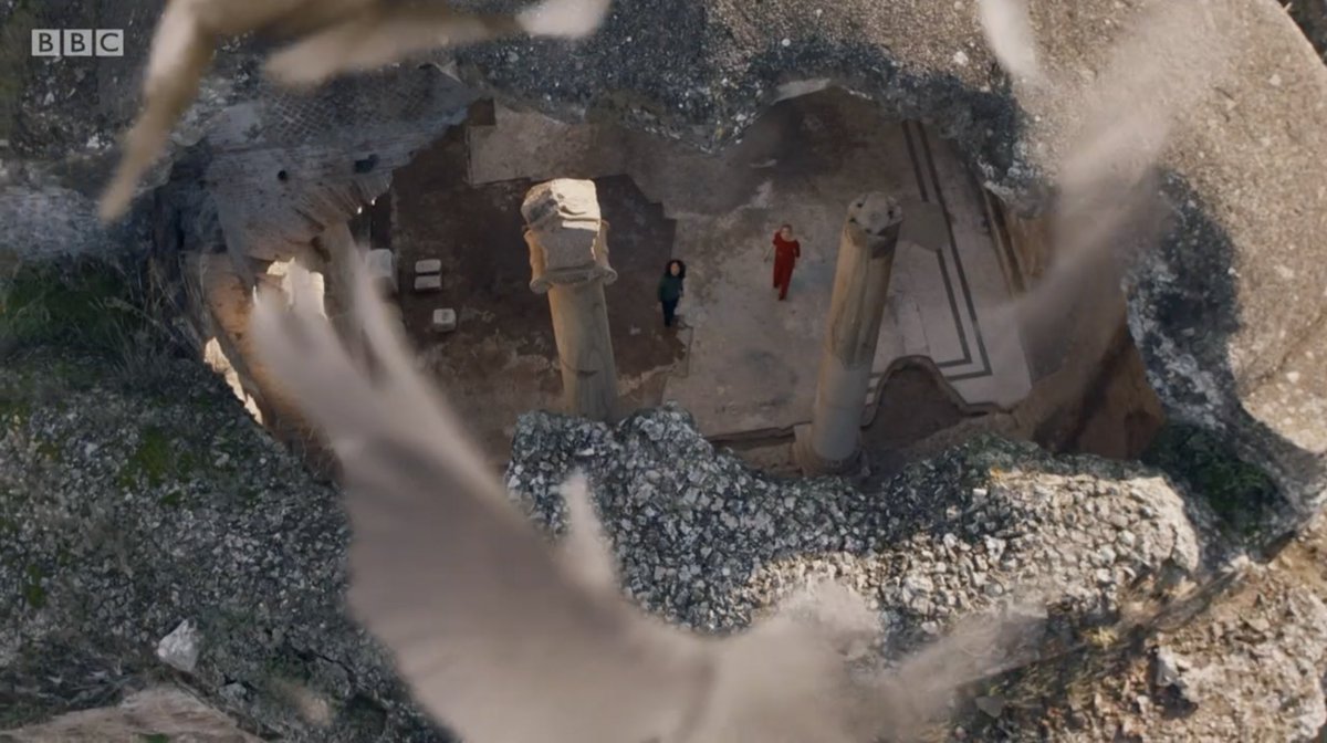 The irony and juxtaposition of birds as paralleled in 104 and 208; a thread.