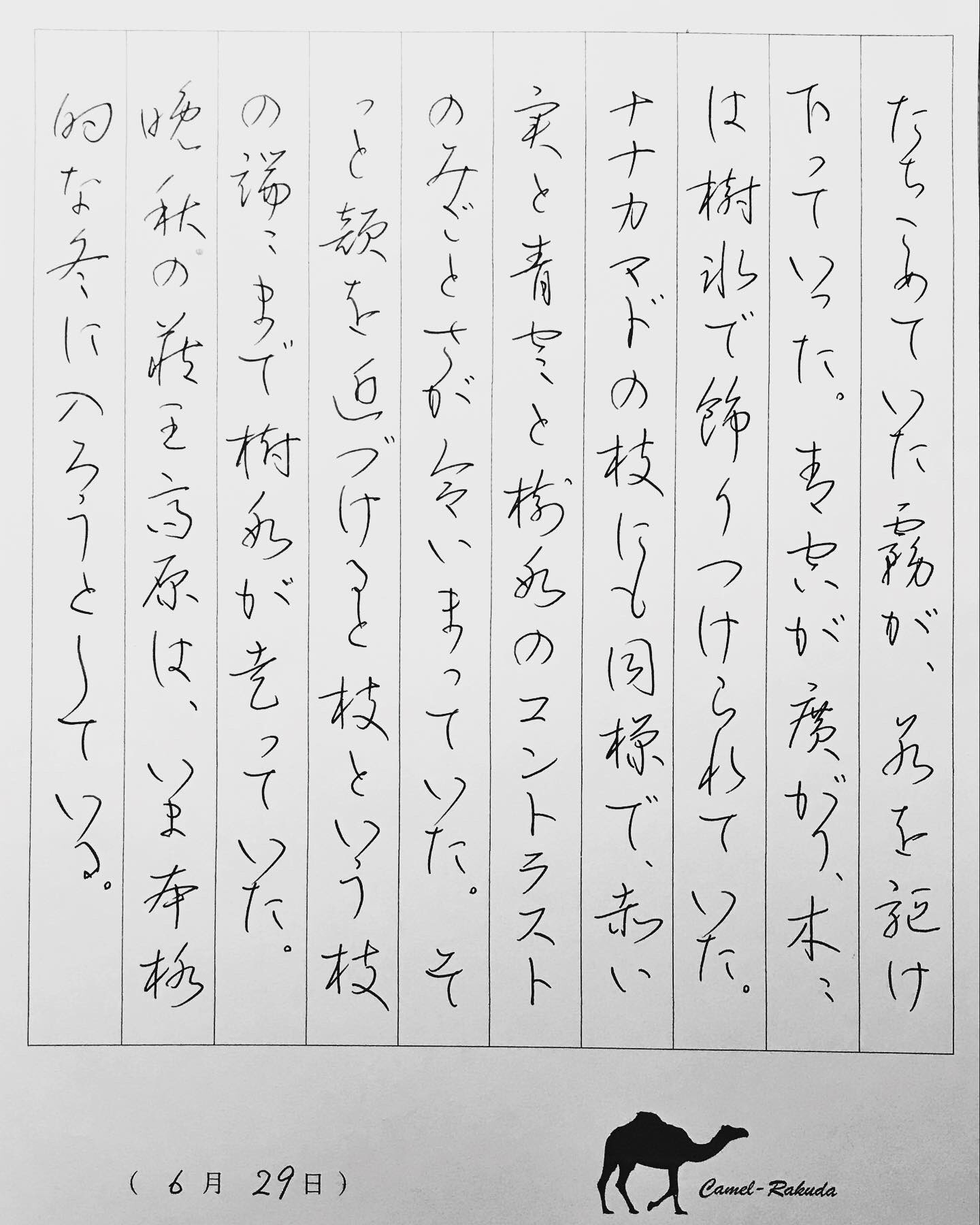 らくだ ホテルで朝練 Pの草書入りの例文です 1 全体的に枠に対して書字が大きめな為 特にひらがな カタカナを少し小さめにしてみた 2 カタカナは楷書用で硬く 文章に馴染んでないので行書ふうに変更 パイロットペン習字 パイロットペン習字