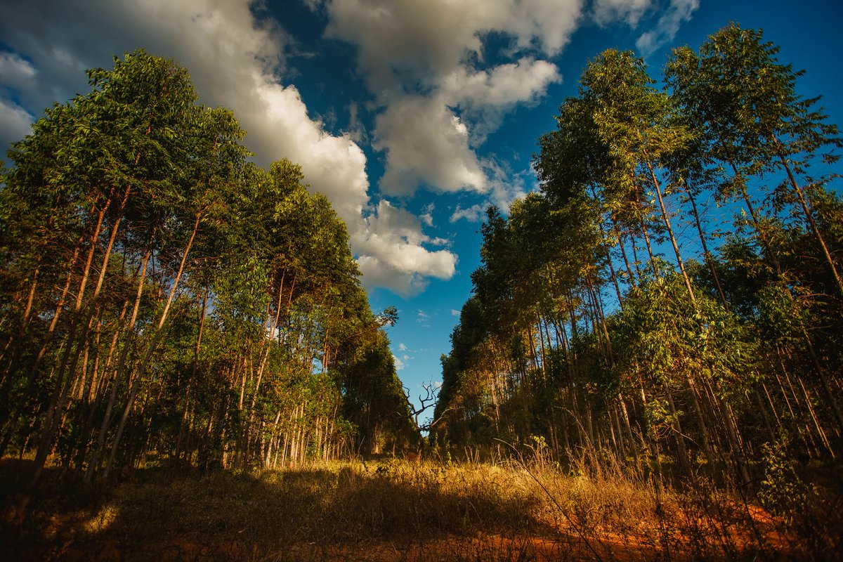 lyrawhite's tweet image. Quarantine Day 102   #quarantineroutine #ranchlife