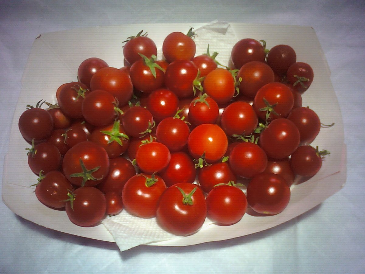 96) And now for the  #Aerogarden Red Heirloom tomato loot. Got 15.6oz over the past 2-week period....