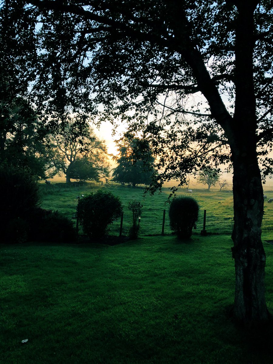 Titch_Sheep's tweet image. Baa, so #GlastoAtHome closes with fish &amp;amp; chips all round- it’s been surreal guys- here’s to a return to normality, whatever that is #BeachIsolation #FlockPower