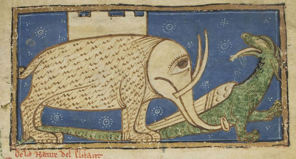 Boze Herrington, Library Owl 😴🧙‍♀️ tweet media