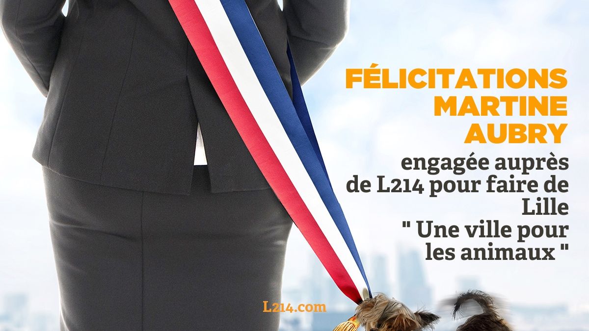 Pol_Animaux's tweet photo. @L214 @afpfr @lemonde_planete @LibeTerre @le_Parisien @BFMTV @RTLFrance @Europe1 @Le_Figaro @lobs @franceinfo #Lille2020 • 🐟🐮🐔
Félicitations @MartineAubry @MAubry2020!
Engagée sur des mesures de la charte @L214 pour faire de Lille une ville pour les animaux.
https://t.co/rrH9yfoODA
#Animaux2020 #Municipales2020 https://t.co/CMybrjs7yd