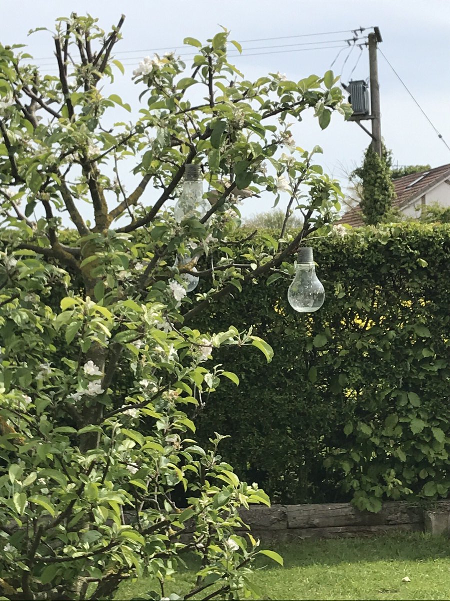 JoMilns's tweet photo. #thiscallsforlove loved sitting in the garden and watching and listening to the birds https://t.co/HksMCYgm7S