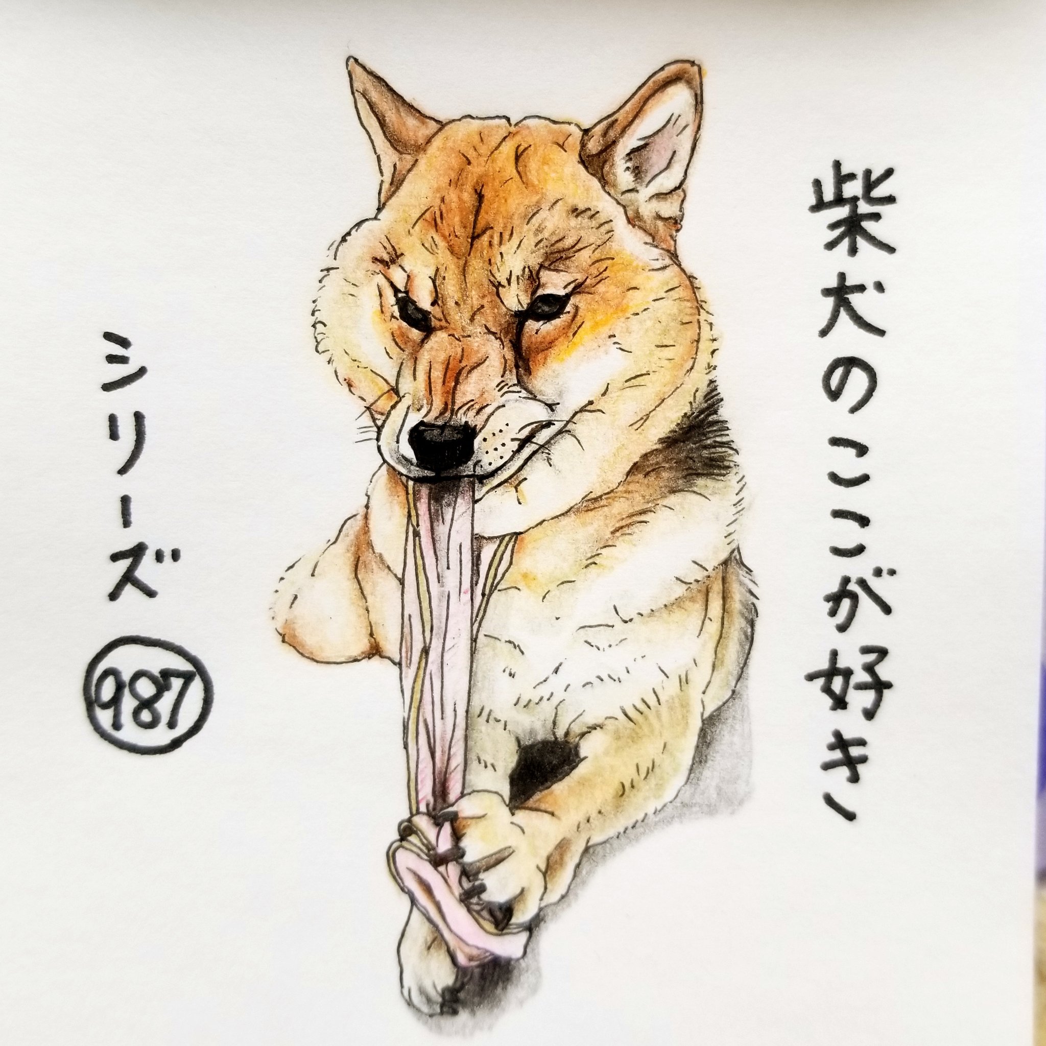 Twitter 上的 ここ柴 必死になりすぎると 犬相が変わるとこ 怖いよー 戻ってきてー 柴犬のここが好き ここ柴 ここ柴部 柴犬 イラスト 色鉛筆 T Co Pucwoihusk Twitter