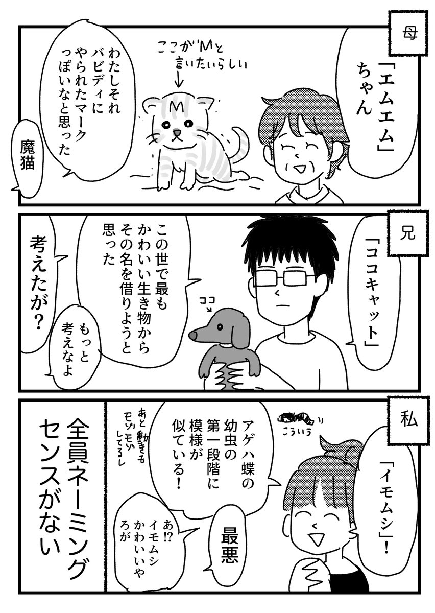ワンコロもちべヱ 好きじゃなかった猫と向き合う話 おまけはブログに T Co Ag0oainwoj ポケモンとかにつけた名前 だいたい人に見せると酷すぎると言われる ワンコロもちべヱ 好きじゃなかった猫と向き合う話 おまけはブログに T Co Ag0oainwoj ポケモンとかにつけた名前 だいたい人に見せると酷すぎると言われる
