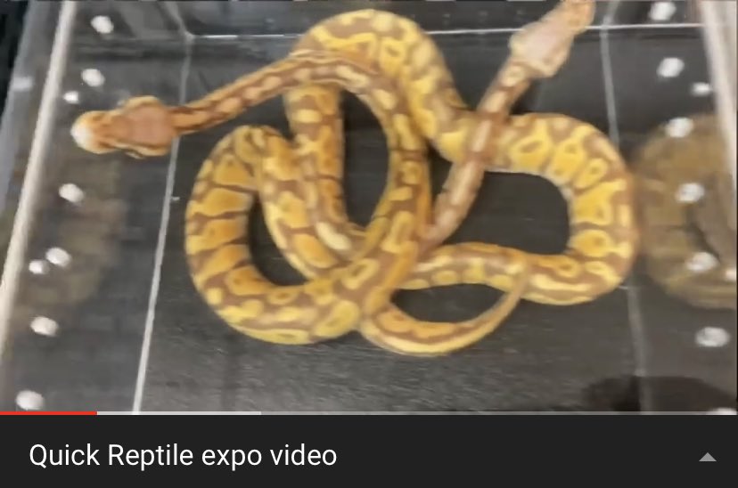 CentiTab's tweet image. New video up y’all!! youtu.be/pzJFUO_rAnM