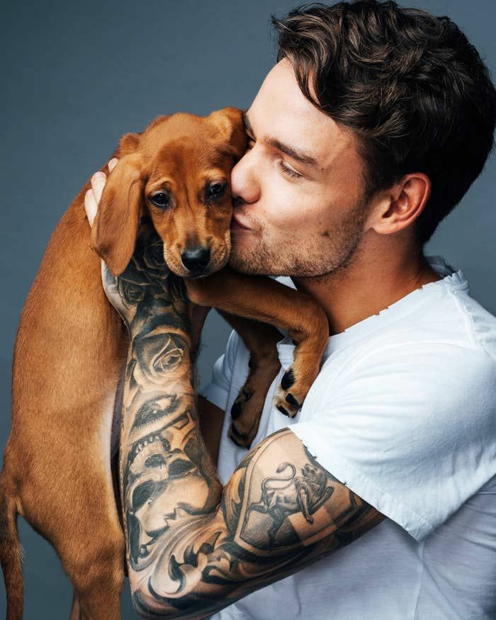lwtmlinsn71's tweet photo. SI NO COMENTAN #LP1S NUNCA VAN A PODER HACER SU BAILECITO de strip that down
*inserto fotos de li con perritos* https://t.co/DWbvboelrQ