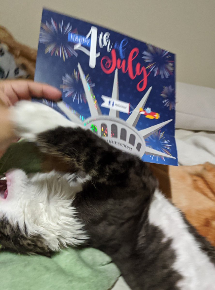jb050705's tweet photo. #julyFURthcontest takes 1 and 2. Charlie is ready! https://t.co/DIxpWxcTrz