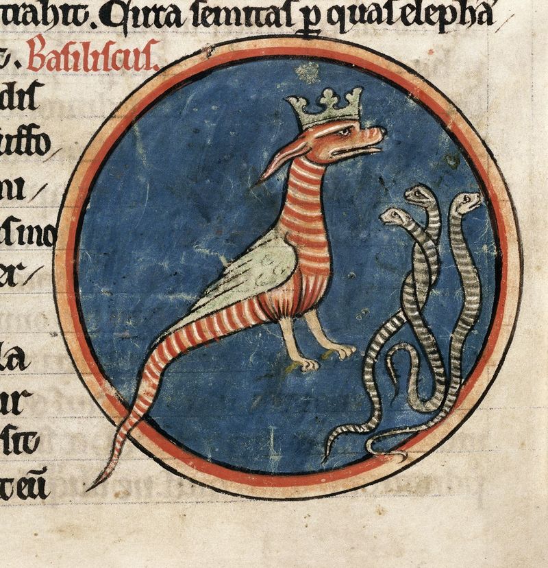 BLMedieval's tweet photo. Basilisk

https://t.co/egtYqpLrIG https://t.co/uPRIoZz4Kk
