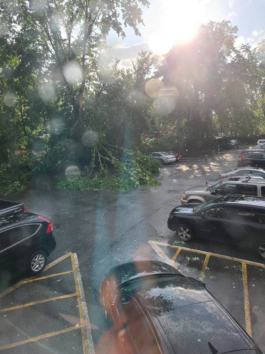 SemperFiComic's tweet photo. Some guys car was under here. I just saw him carrying the bumper away...damn!
#WhenTreesAttack
#AngryTree
#GodHatesUS
#HaveAGreatDay https://t.co/cnOp6pNVVR