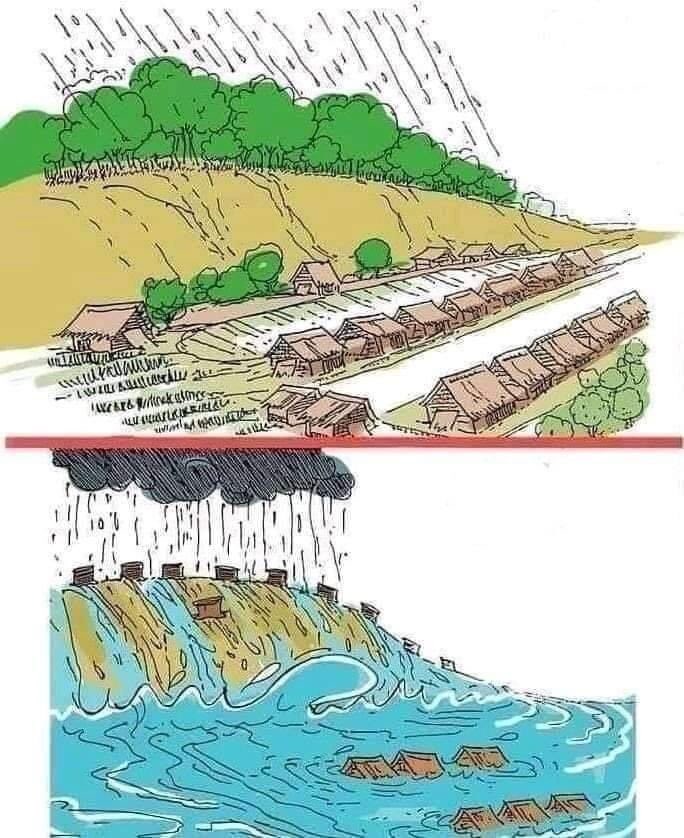 ProtocoloAmbien's tweet image. A importância das Árvores #protocoloambiental #meioambiente #natureza