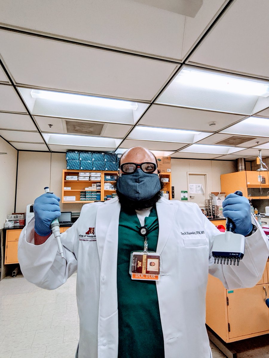 Back in full force, doing #AntibioticResistance #AMR #microbiome #COVID19 research. Thanks to <a href="/noelle_noyes/">Noelle Noyes</a> and <a href="/umnCVM/">UMN College Veterinary Medicine</a> faculty for creating a safe working environment and sunrise process! #UMNproud
