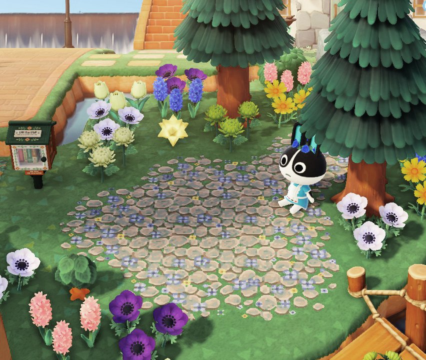 cat 🍃 hiatus tweet media