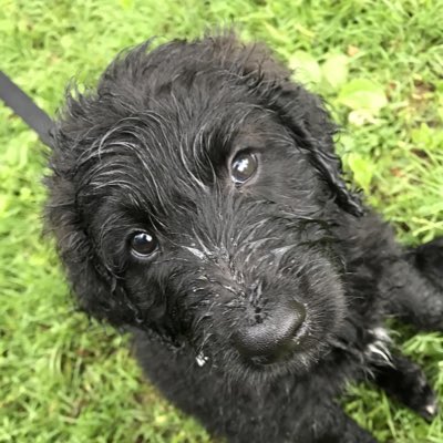 TheAtypicalRun's tweet photo. #NewProfilePic https://t.co/uzhHAnNTc5