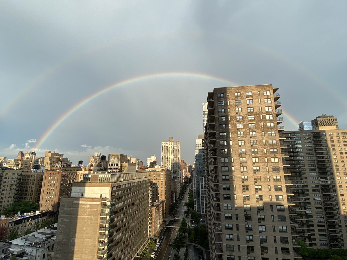 Gothamist tweet media