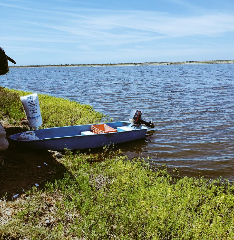 Uno de los estanques de produccion de camaron🦐🛶