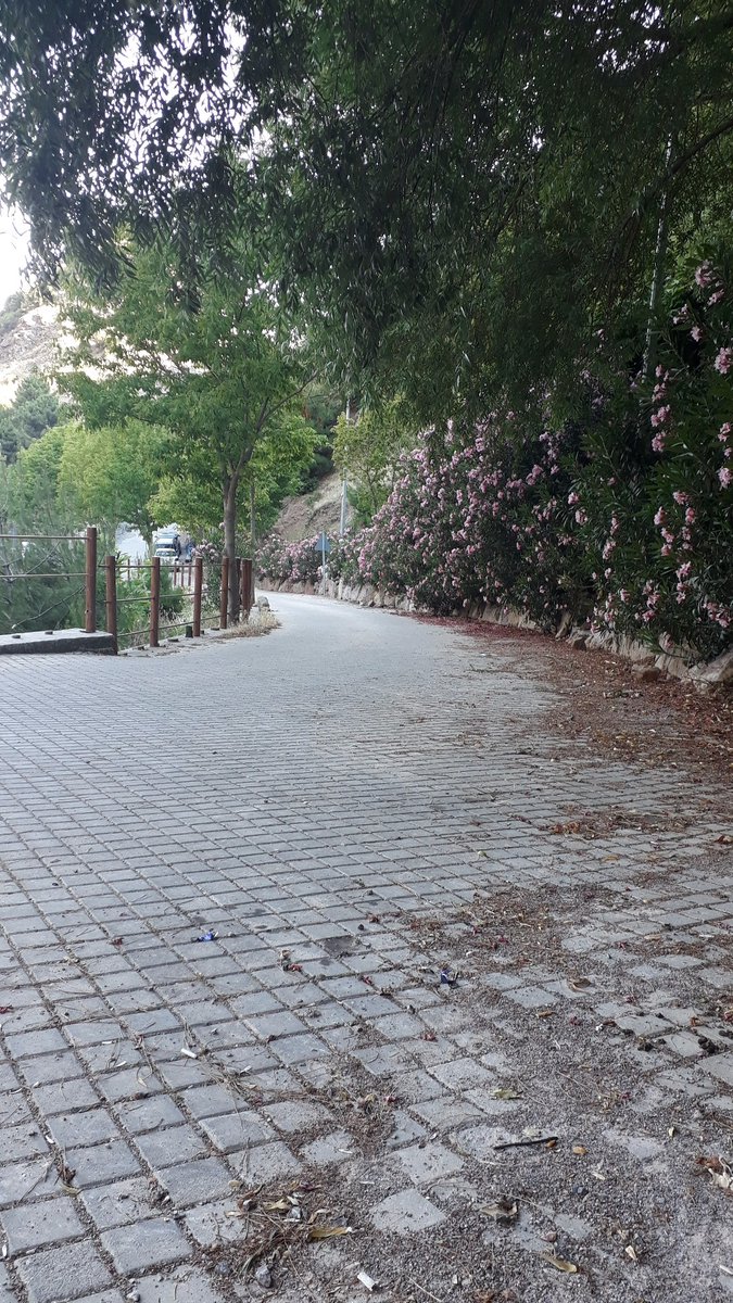 izmircaner2's tweet photo. https://t.co/pDWI8rVKid