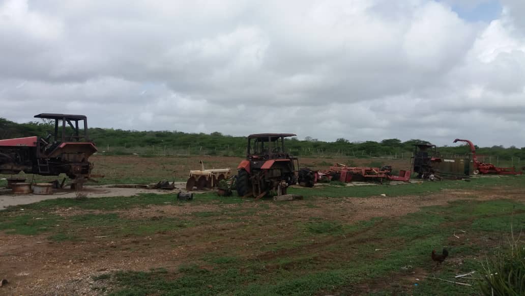 DelAgroVe (@delagrove) on Twitter photo #Noticia| Equipo técnico de <a href="/delagrove/">DelAgroVe</a> visitó la unidad de producción social agrícola Leander en el municipio Acosta del estado #Falcón a fin de chequear los avances productivos. Seguimos avanzando en la producción de proteína animal. #Agroproductivos <a href="/NicolasMaduro/">Nicolás Maduro</a> <a href="/wcastroPSUV/">Wilmar Castro</a> #Noticia| Equipo técnico de <a href="/delagrove/">DelAgroVe</a> visitó la unidad de producción social agrícola Leander en el municipio Acosta del estado #Falcón a fin de chequear los avances productivos. Seguimos avanzando en la producción de proteína animal. #Agroproductivos <a href="/NicolasMaduro/">Nicolás Maduro</a> <a href="/wcastroPSUV/">Wilmar Castro</a>