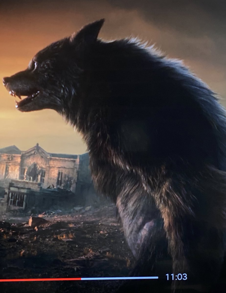TheMexyWolf's tweet photo. #WeWantWerewolves! #Netflix #TheOrder. Season 3!! https://t.co/sbPKHQvuyp