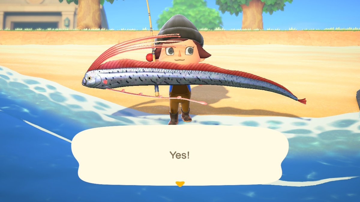 coracrossing's tweet photo. #AnimalCrossing #ACNH #NintendoSwitch https://t.co/dTQPFIwhBS