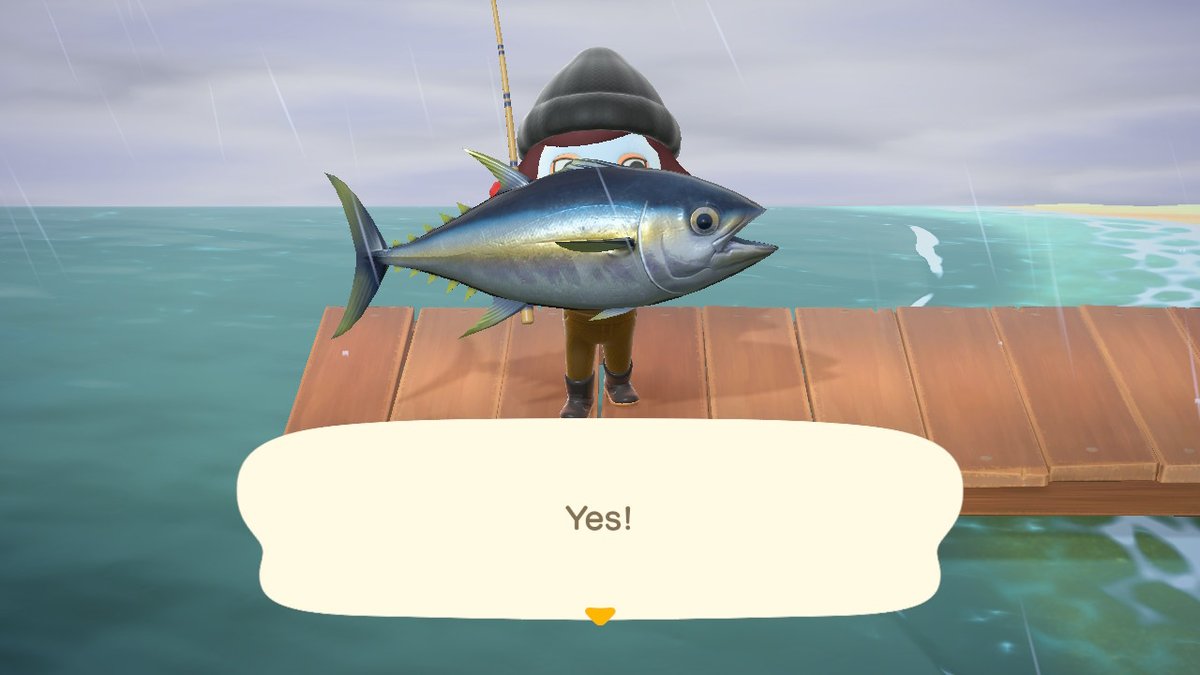 coracrossing's tweet photo. #AnimalCrossing #ACNH #NintendoSwitch https://t.co/d1aKOXKI20