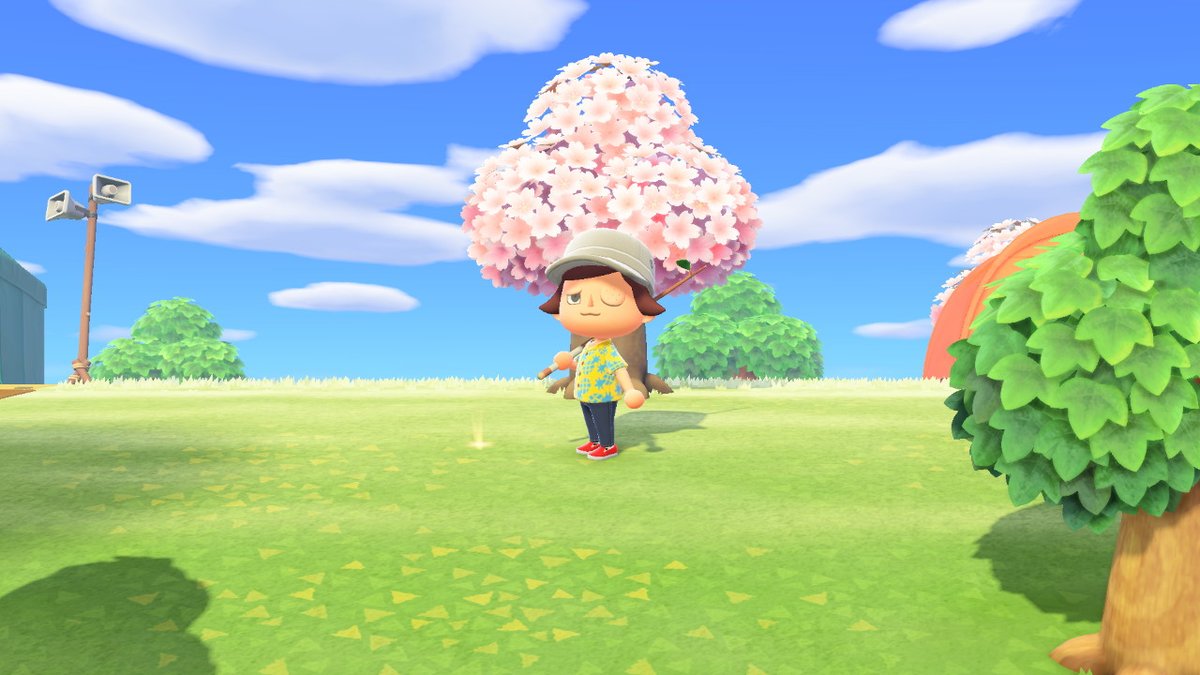 coracrossing's tweet photo. #AnimalCrossing #ACNH #NintendoSwitch https://t.co/1WCzzq0SXV