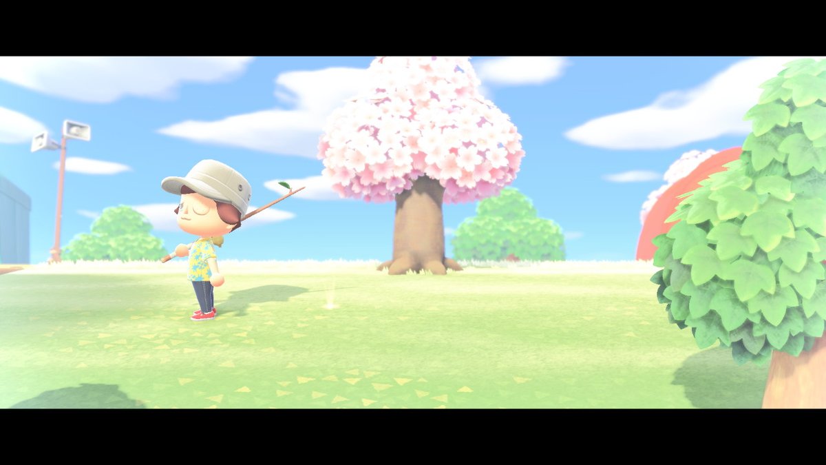 coracrossing's tweet photo. #AnimalCrossing #ACNH #NintendoSwitch https://t.co/1WCzzq0SXV
