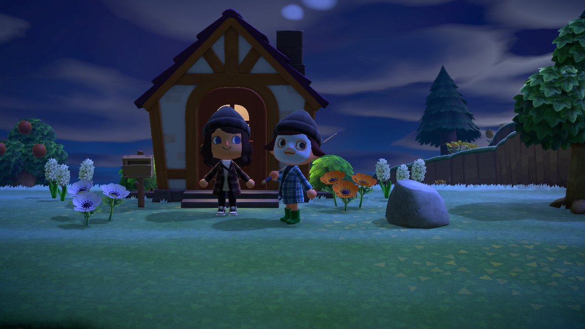 coracrossing's tweet photo. #AnimalCrossing #ACNH #NintendoSwitch https://t.co/1WCzzq0SXV