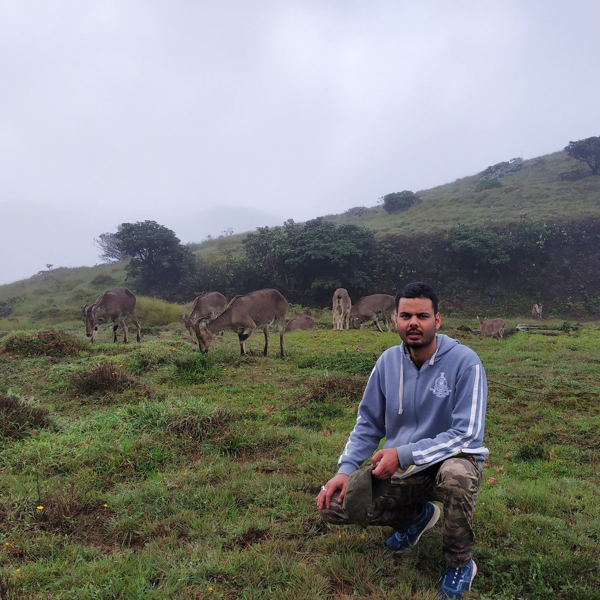 2 days, 40km trek and field inspection in Mukurthi National Park. Lucky to spot endangered Nilgiri Tahr with such close distance. Prized photo 😀
#Nilgiris #nilgiritahr #mukurthi #shola https://t.co/NOf6VVrvlv