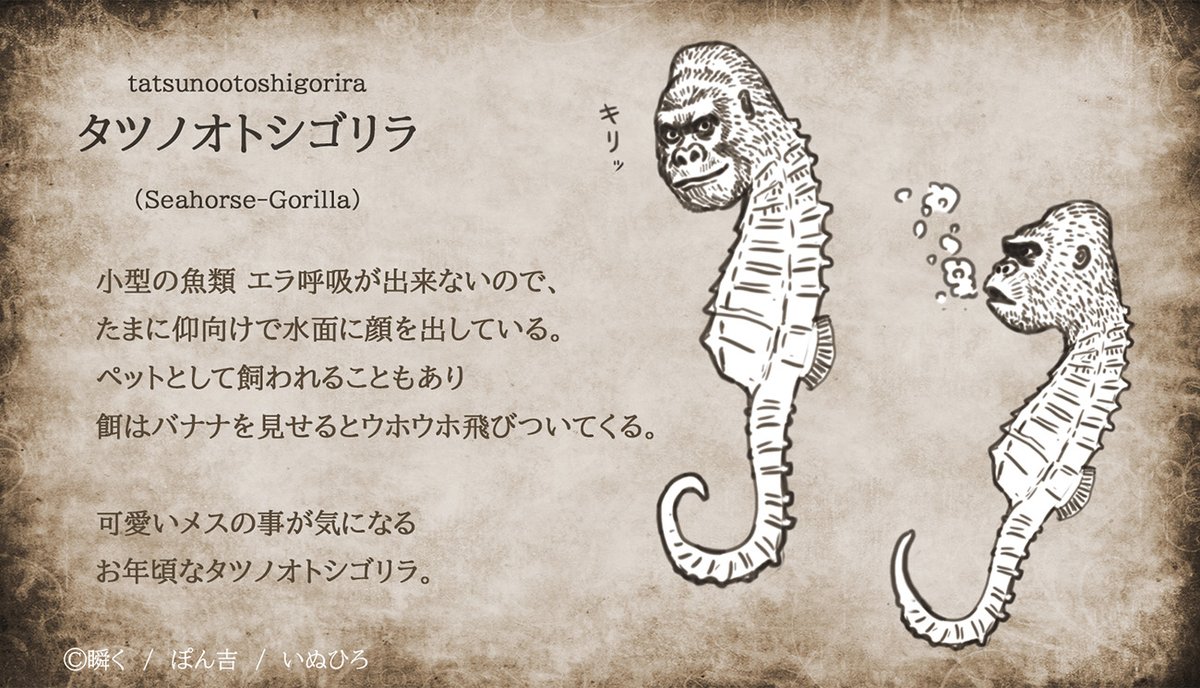 瞬く 絵のお仕事募集中 タツノオトシゴリラ 瞬く 絵のお仕事募集中 タツノオトシゴリラ