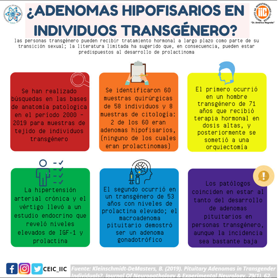 CEIC_IIC's tweet photo. Las diferencias en la salud que se producen por la sola orientación sexual y la identidad de género de las personas con diferentes preferencias expone una sociedad que sobrelleva conductas pre juiciosas contra los derechos humanos https://t.co/dgYyKMKshf