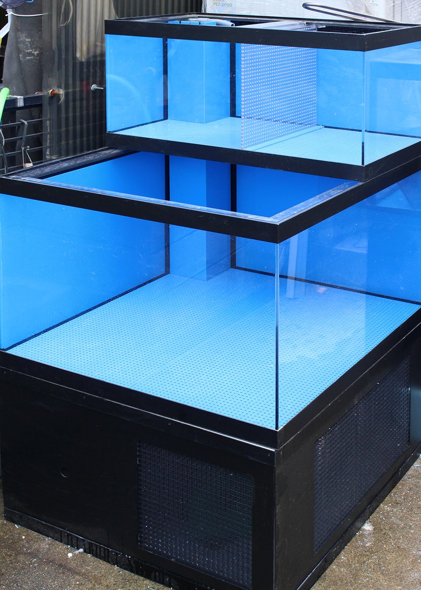 東京水槽製作所 こちらは幅900mm 奥行きも900mmのビッグな二段式水槽でございます 広々としていますので 魚やイカなどをたくさんスイミングさせることができるのでございます 活魚水槽 大型水槽 オーバーフロー 海水魚