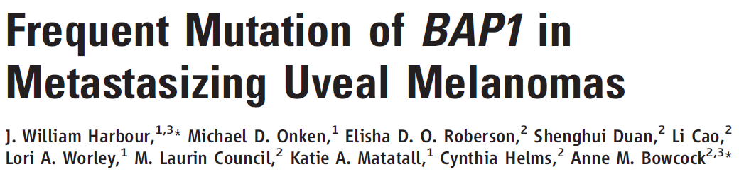 Primary UM biology is fascinating. Labs like Bastian and  @JWHarbourMD have molecularly defined primary UM since mid-2000s. The highest risk primary tumors can be molecularly defined: BAP1 > SF3B1 >> EIF1AX, 3p loss, RNA profiling. No BRAF V600 mutants.5/x