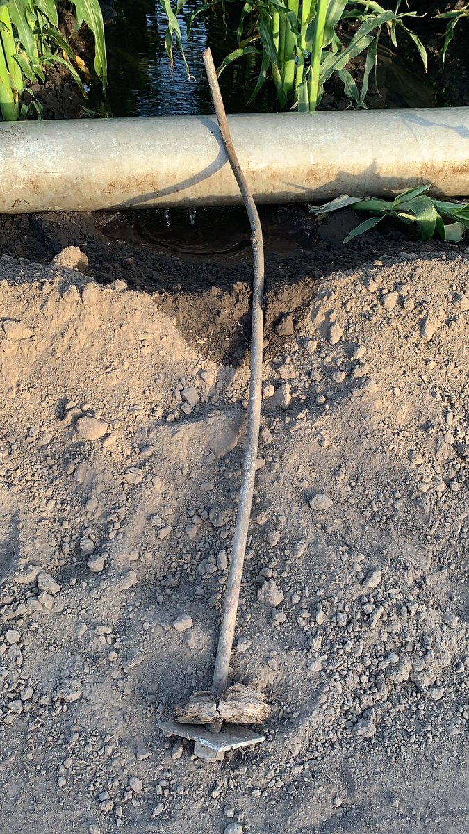 farmerbart's tweet photo. Things found while gravity irrigating!?!🤔 From Old UP  RR line. #unionpacific #railroad #irrigate2020 https://t.co/Hd89TU0gui