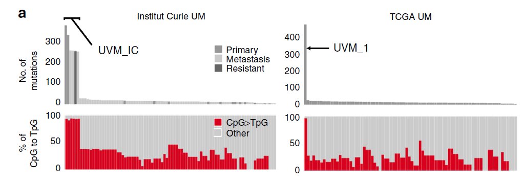 PD-1 blockade occasionally had durable responses, but molecular analysis recently showed genomic outliers in 2 cases with hypermutation and novel germline mutation in MBD4. Cool biology, seen in other neoplasms too, but not useful for most patients. https://www.nature.com/articles/s41467-018-04322-510/x