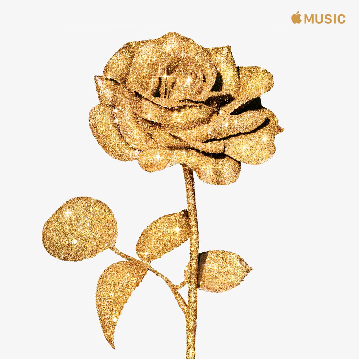 Daryl Braithwaite (@braithwaite_d) on Twitter photo Thank you <a href="/AppleMusic/">Apple Music</a> for including 'Love Songs' in your Everyday Hits playlist. Listen now: lnk.to/DBLoveSongs/ap⦠Thank you <a href="/AppleMusic/">Apple Music</a> for including 'Love Songs' in your Everyday Hits playlist. Listen now: lnk.to/DBLoveSongs/apā¦