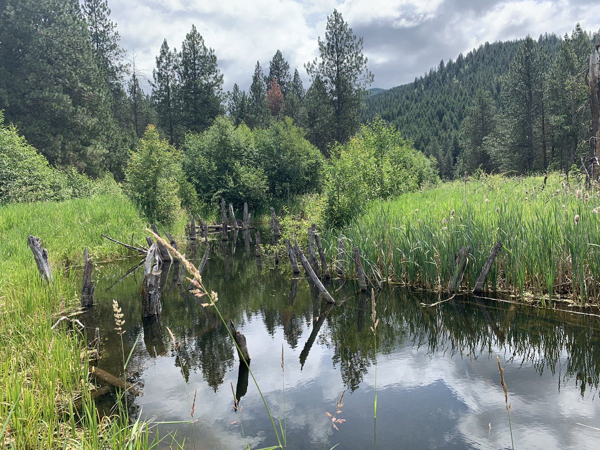 But it’s been a good day to get away a little.