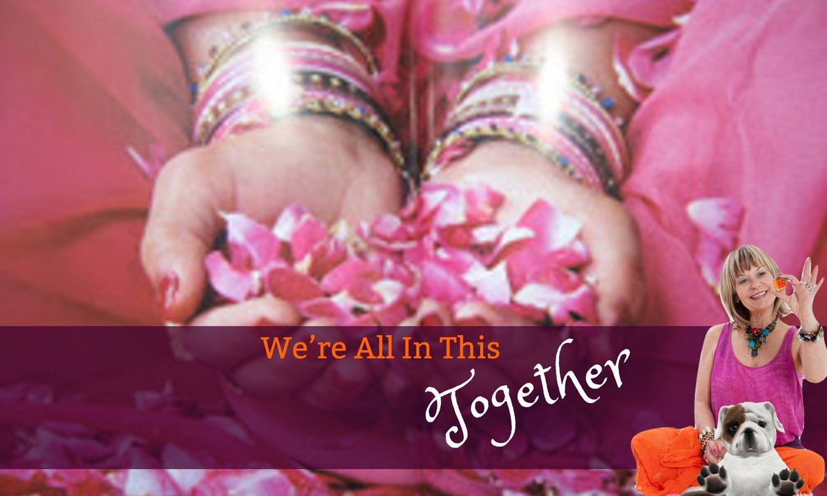 DigiBizDesign's tweet image. Suzannah Dacre is raw, real &amp;amp;  full of integrity. I see a visionary who leads by example &amp;amp;  she’s so kind. No judgement. I‘d highly recommend Suzannah for people development, business and investment. #suzannahadacre #ultispro #Investment #businesscoach #BusinessStrategy