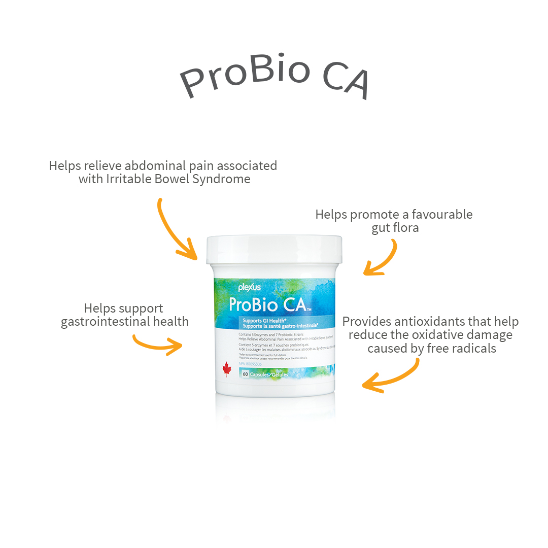 plexusincanada's tweet image. Just pointing out some of our favourite things about ProBio CA 😆 Let us know why you love ProBio CA in the comments! ⬇️ #ProBioCA #PlexusWorldwide #EverydayPlexus #GutHealth #Probiotics bit.ly/ShopPlexusCA
