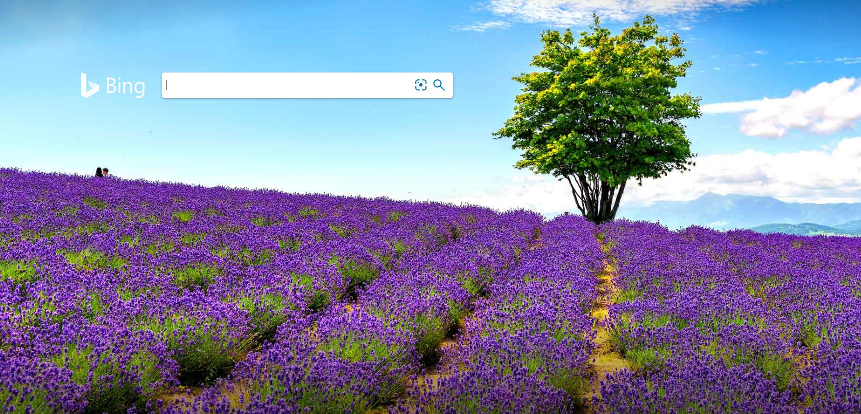 Bing 日本版 北海道 の ラベンダー は 早咲きのものは6月下旬から 遅咲きのものは8月 上旬まで見ごろとなります 小高い丘にラベンダーが咲き誇る 上富良野 の 日の出ラベンダー園 も そろそろ紫のじゅうたんに覆われ 北海道の短い夏を彩ります