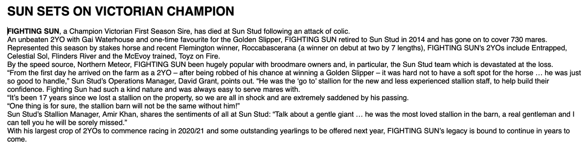 SUN STUD tweet media